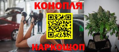 прущие крисы Конаково